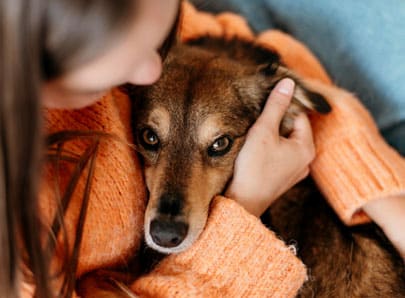 Chien réconforter par sa propriétaire