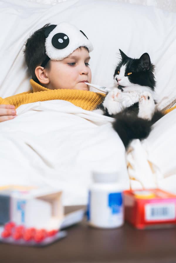 Chat ayant de la fièvre
