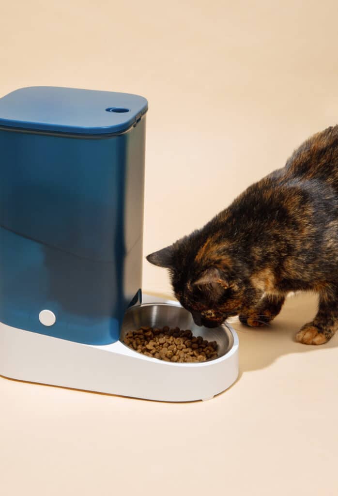 Distributeur de croquettes chat