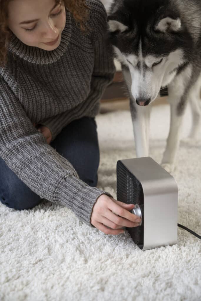Jouet connecté pour chien