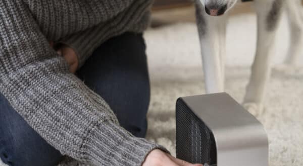 Jouet connecté pour chien