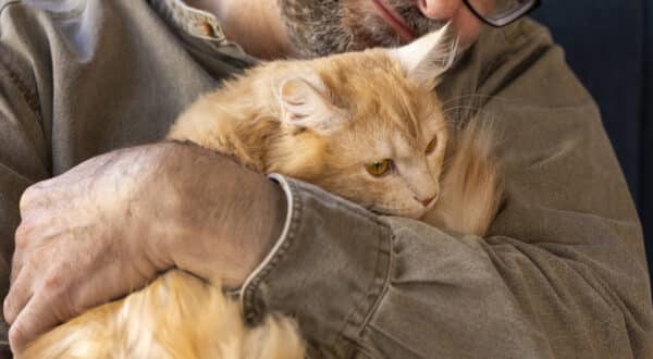 Homme et chat qui font un câlin