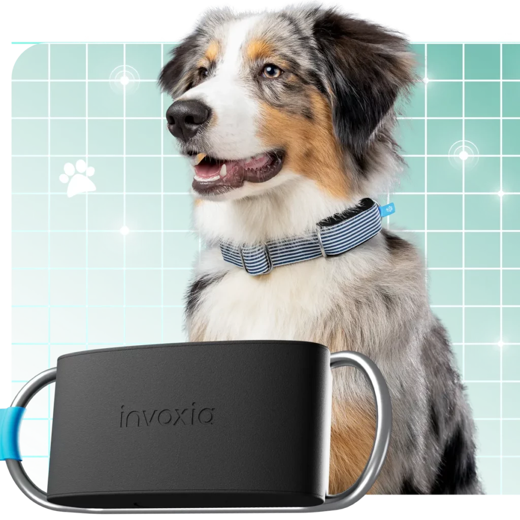 Biotracker chien invoxia