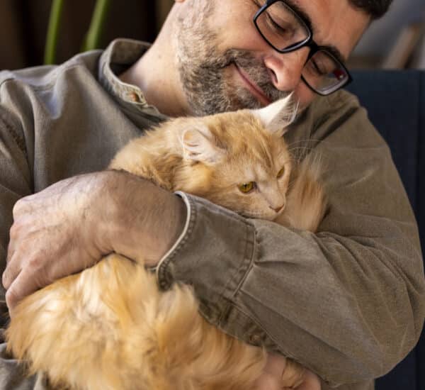 Homme et chat qui font un câlin