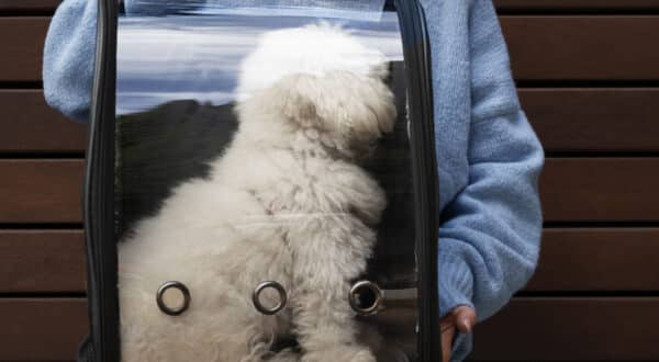 Femme qui porte son chien dans un sac de transport