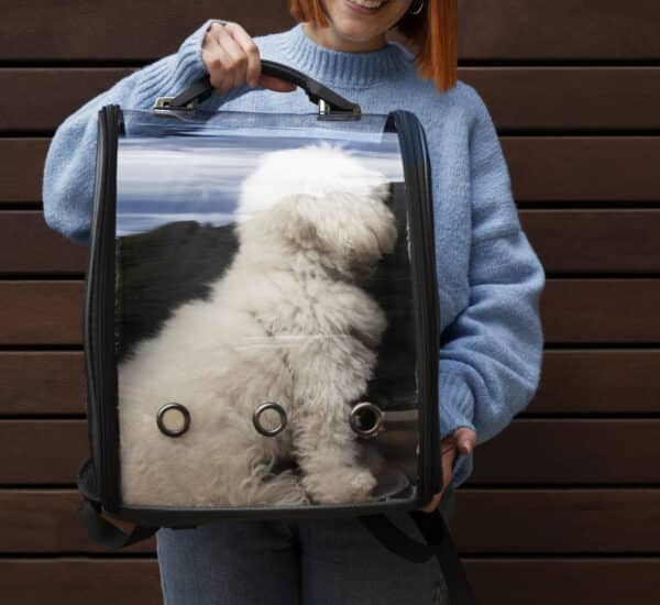 Femme qui porte son chien dans un sac de transport