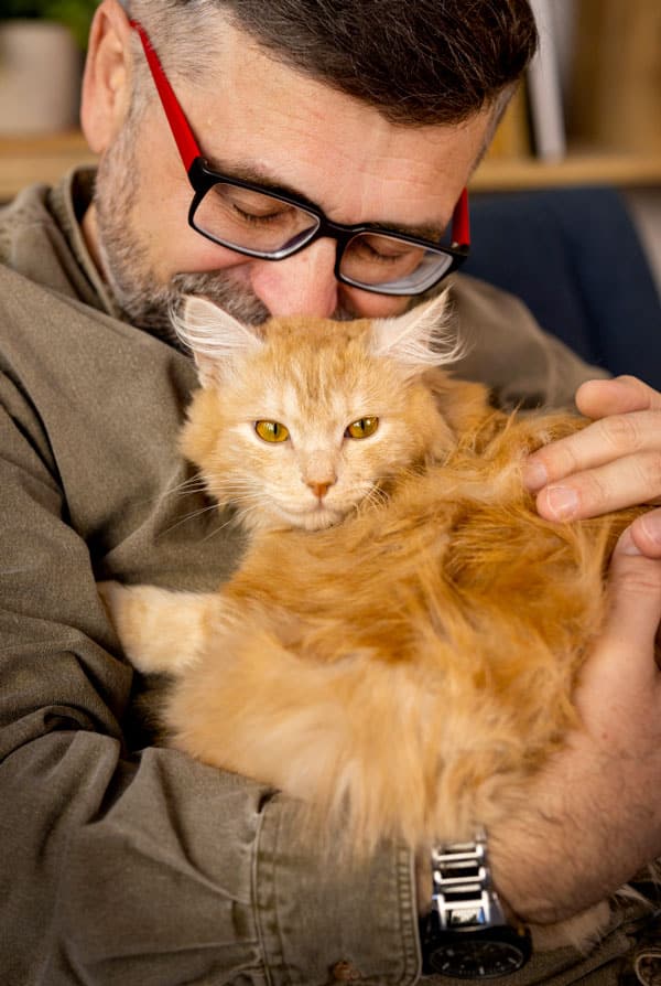 Chat ayant un ver du coeur ou dirofilariose