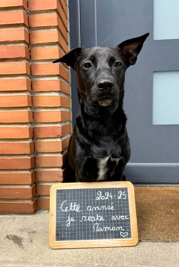 chien Marty Emmanuelle