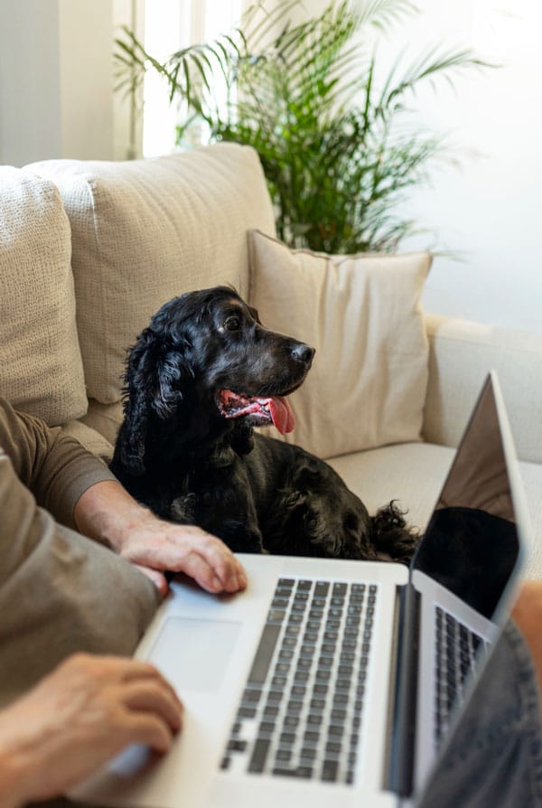 chien noir assis a cote de son maitre qui travaille