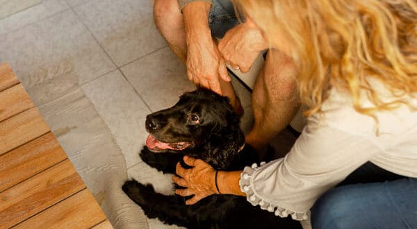chien noir dans le salon qui se fait câliné par sa famille