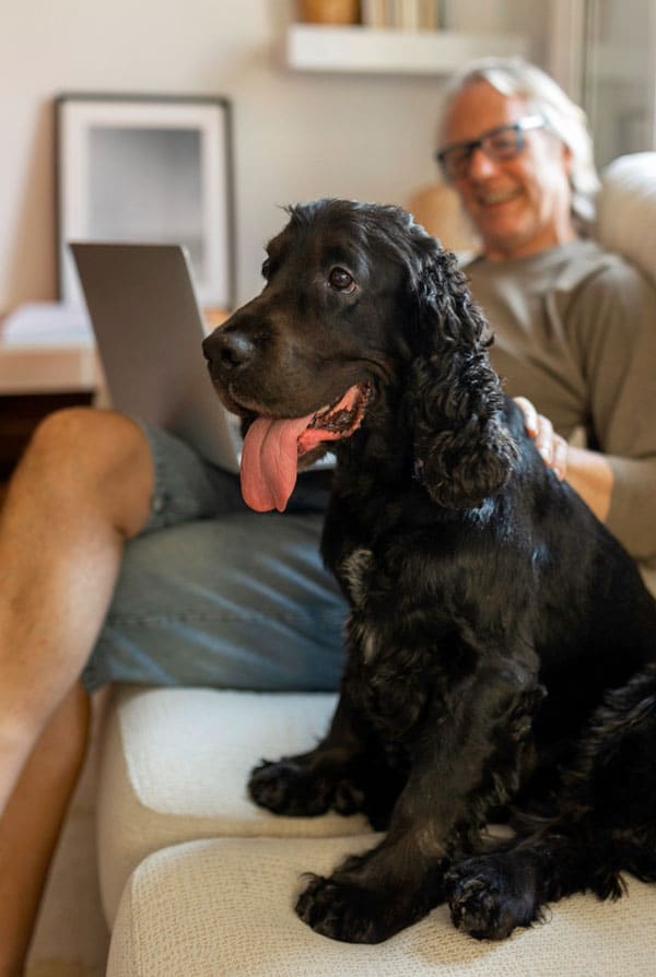 Chien Cocker Anglais avec son propriétaire