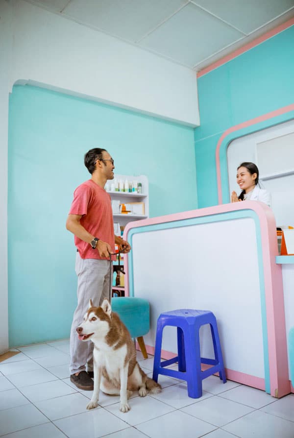 accueil cabinet vétérinaires