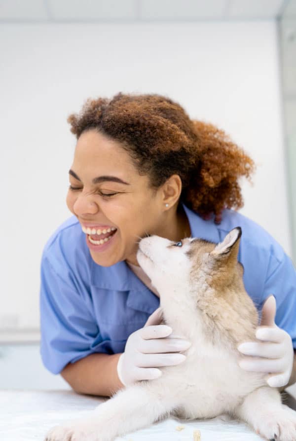chien qui caline la vétérinaire