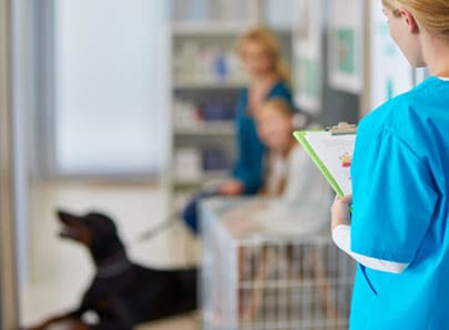 salle d'attente cabinet vétérinaire
