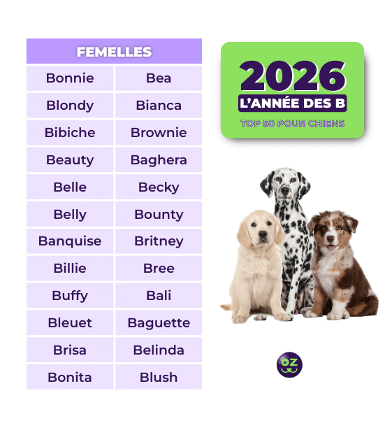 Nom chiens femelles en B 2026