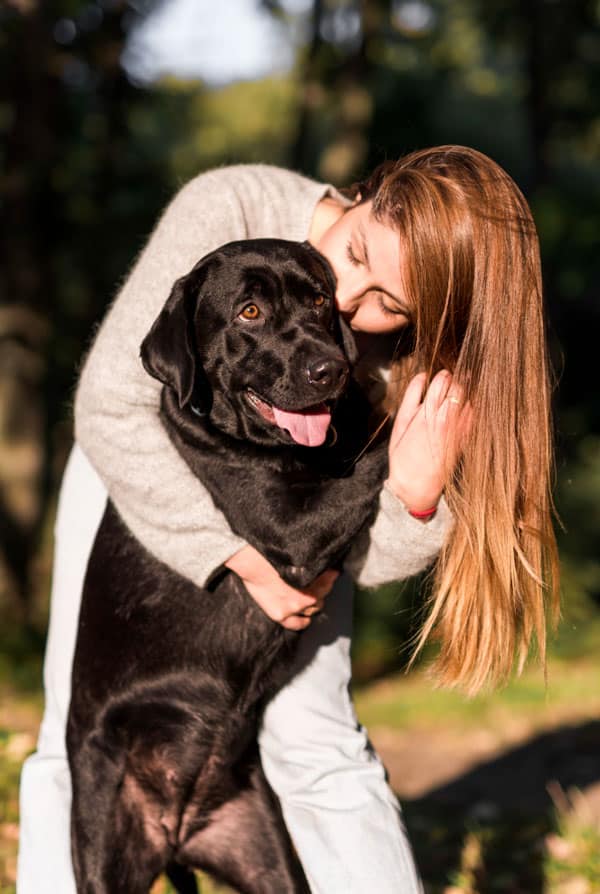 Chien type Labrador assuré par sa propriétaire