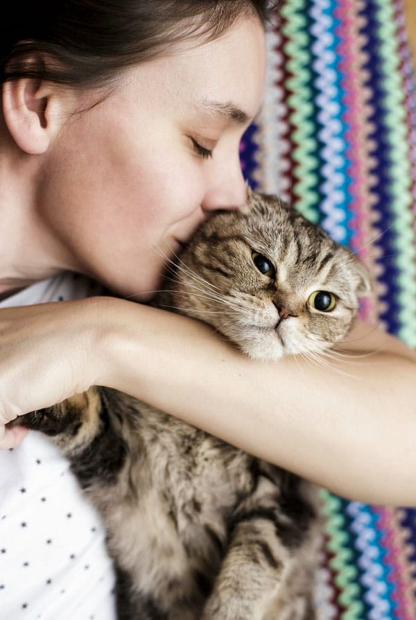 Chat ayant une mutuelle