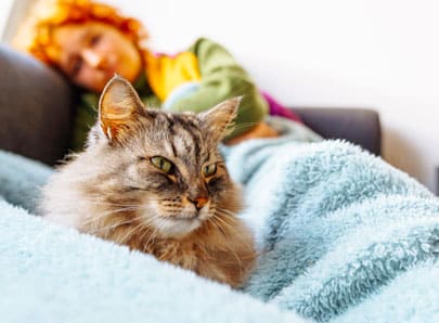 un chat sur le canape pendant le repos de sa propriétaire