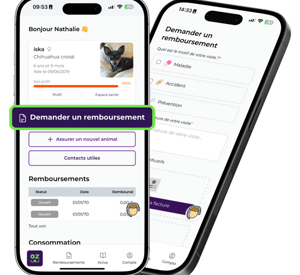 Application kozoo