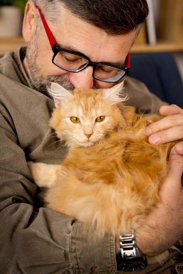 Chat apaisé dans les bras de son propriétaire