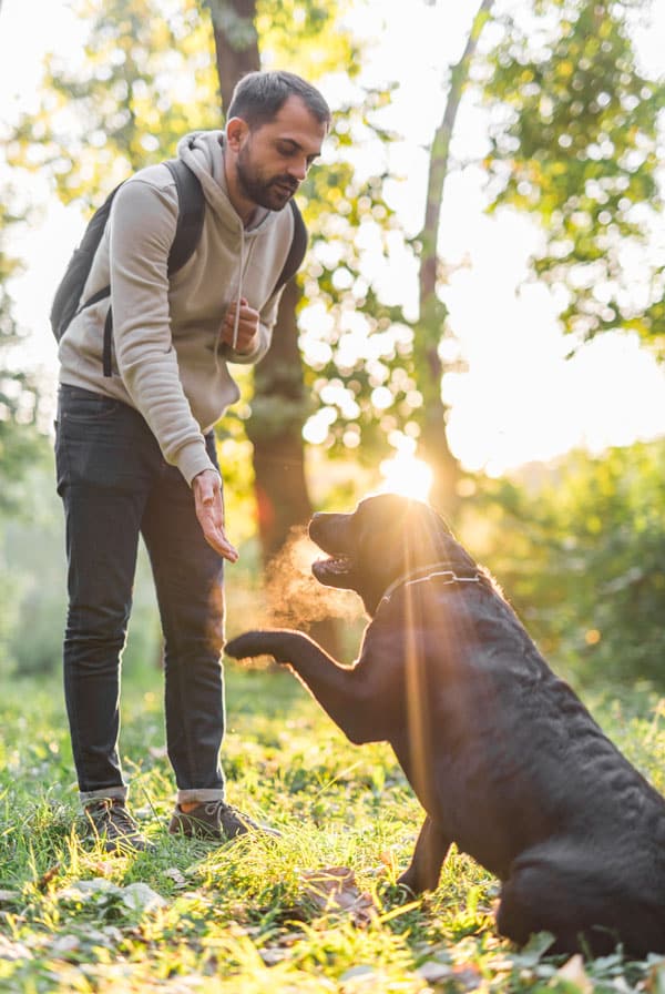 Chien qui donne la patte à son propriétaire