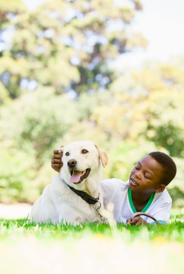 Chien blanc dans l'herbe avec un petit garçon