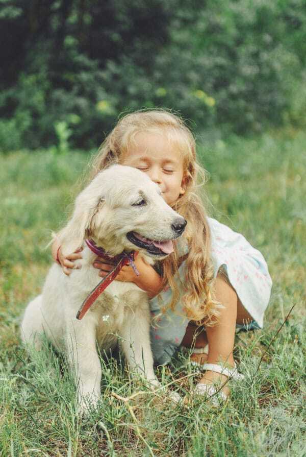 Chien blanc dans l'herbe avec une petite fille qui lui fait un câlin