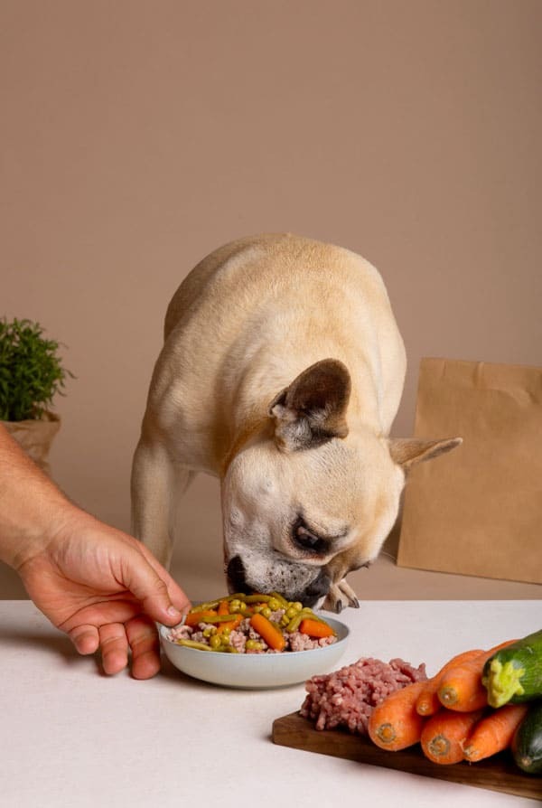 Chien qui mange des légumes