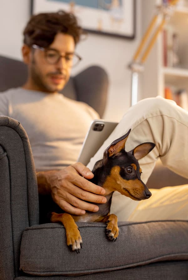 Chien carnet de santé digital sur le téléphone