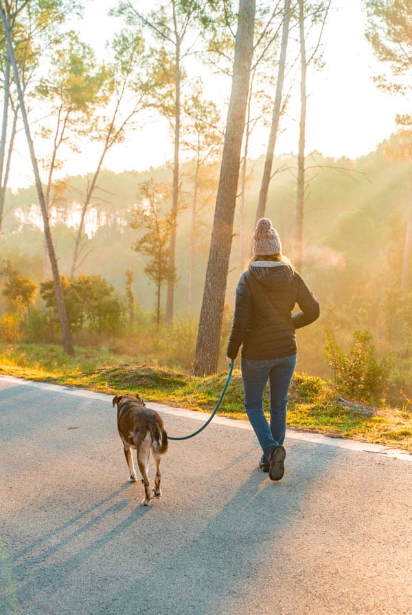 Balade du matin, chien propriétaire
