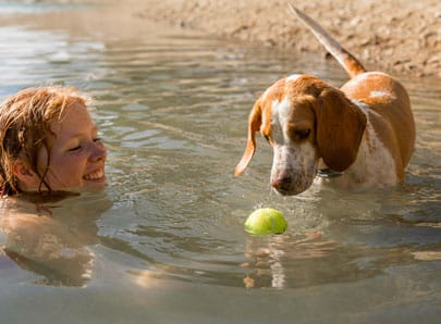 Chien lac balle peur