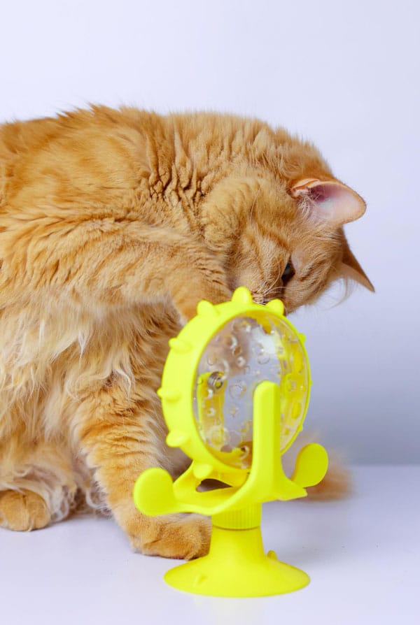 chat jouet à friandise