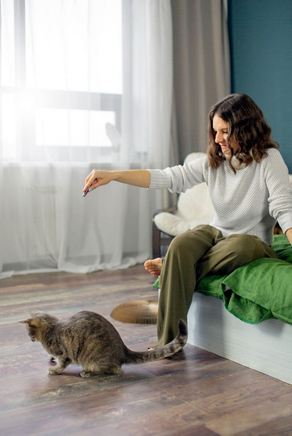 chat qui joue au laser avec sa proprietaire
