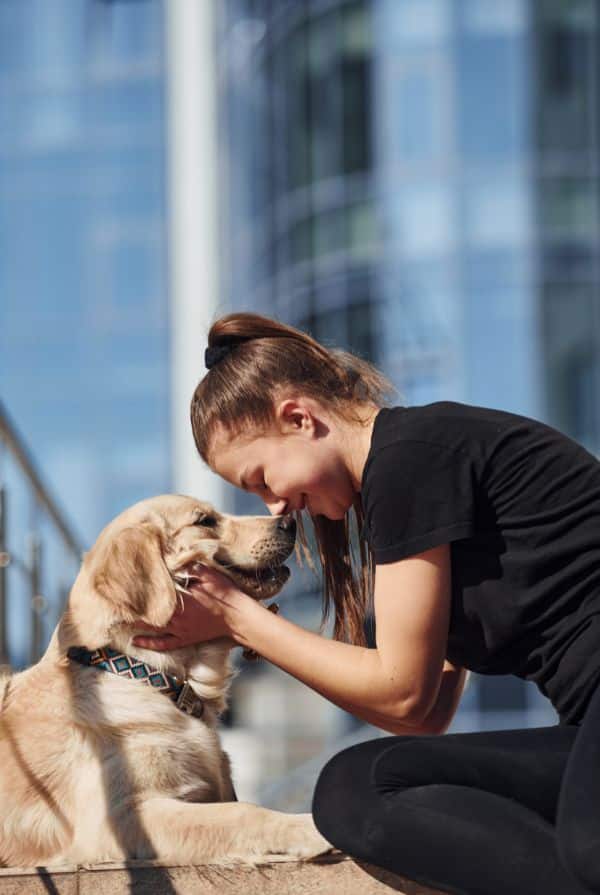 chien d'assistance écouteur avec sa maîtresse