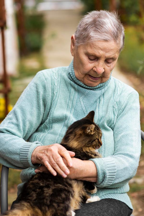 Femme sénior avec un chat sur ses genoux